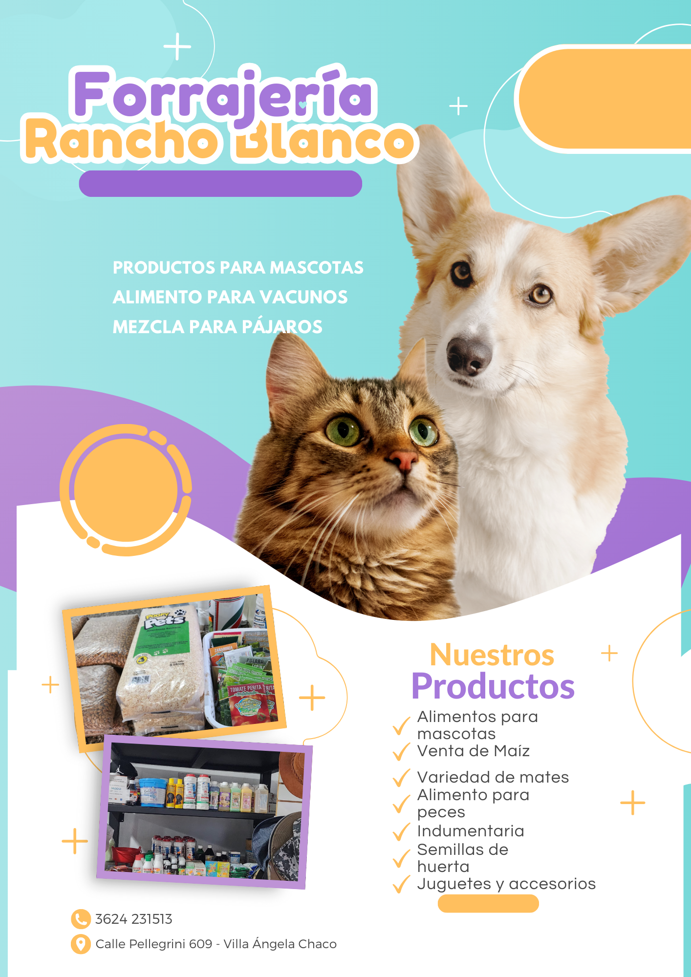 http://villaangelahoy.com/wp-content/uploads/2024/04/Flyer-Anuncio-Veterinaria-y-Pet-Shop-Profesional-Azul-y-Morado-1.png