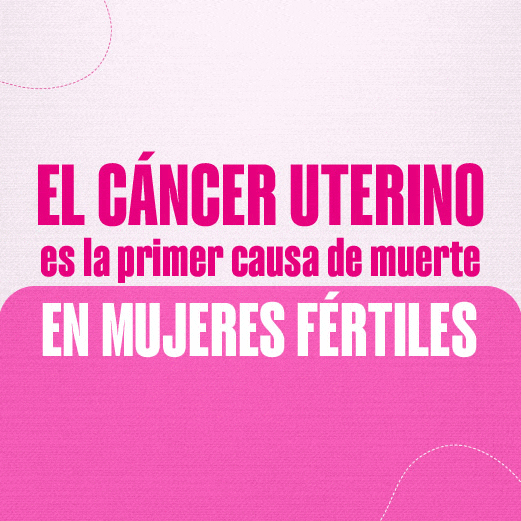 http://villaangelahoy.com/wp-content/uploads/2025/10/BANNER-WEB-PAP-2_250x250-1.gif