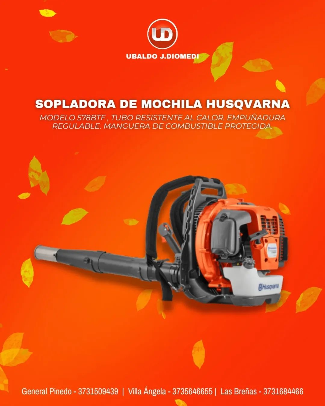 https://villaangelahoy.com/wp-content/uploads/2026/06/WhatsApp-Image-2026-06-01-at-19.51.06.jpeg
