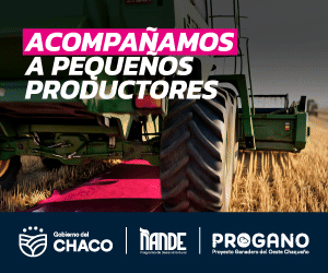 https://villaangelahoy.com/wp-content/uploads/2026/08/chaco_gif_300x250_progano_v1.gif
